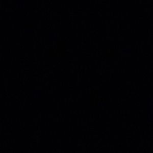 Meet your Posher, Vidasha